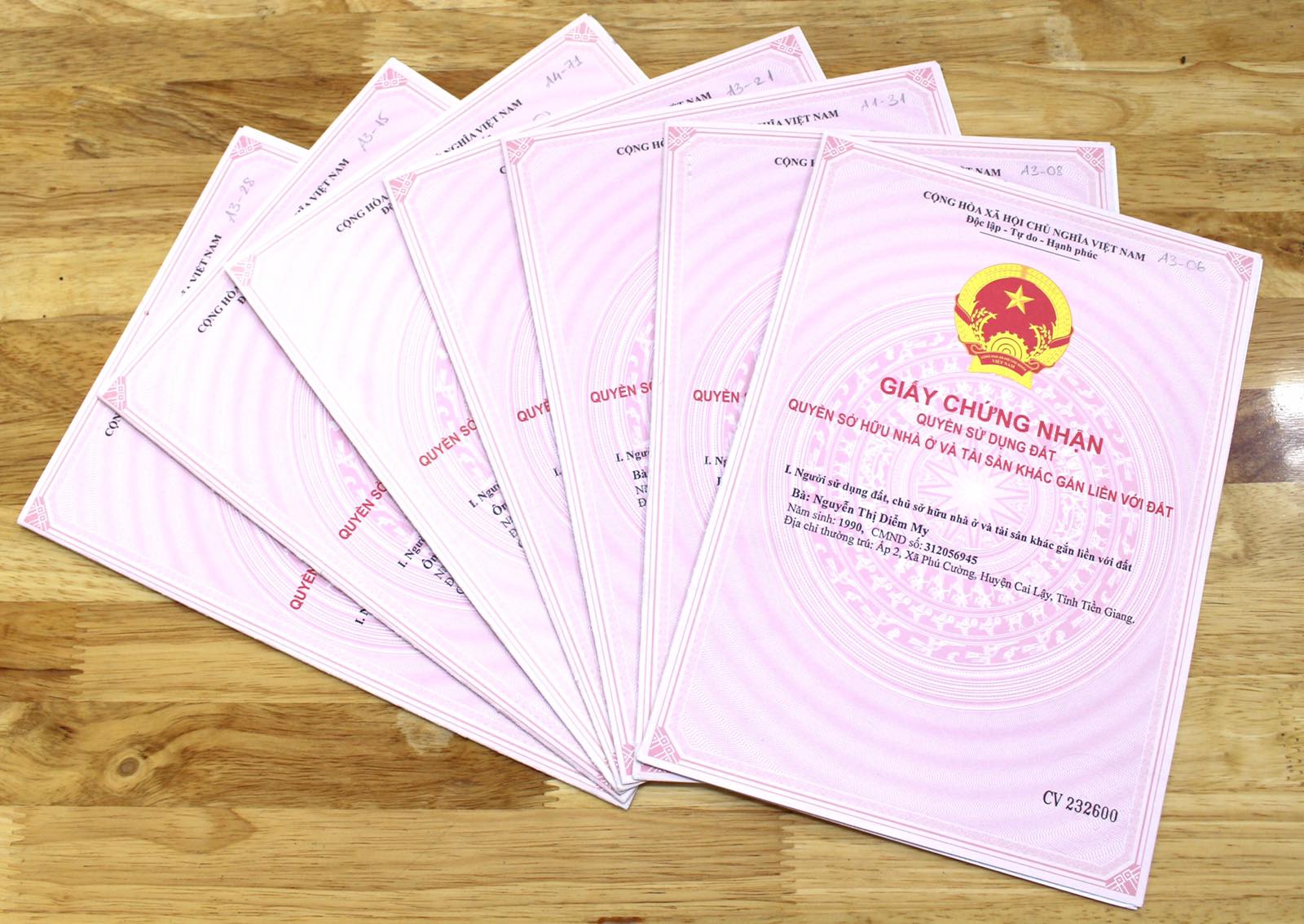 so-do-tung-lo-sg-rvp